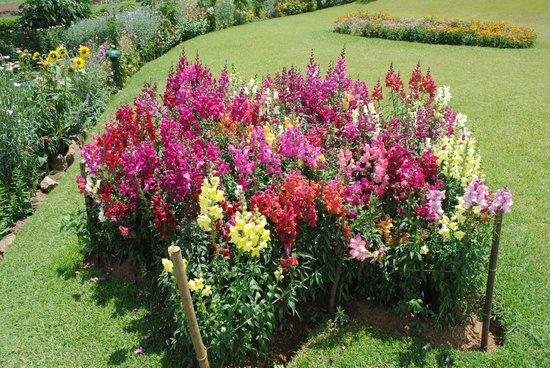 Victoria Park of Nuwara Eliya